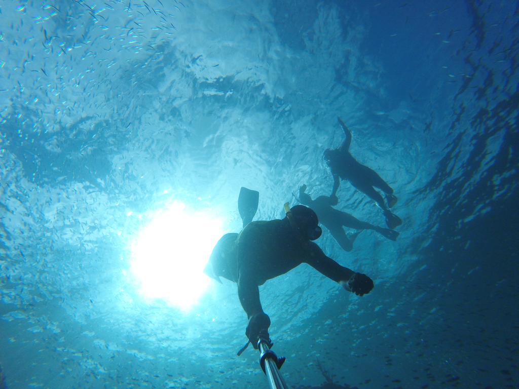 Fish Tobago Guesthouse Buccoo Dış mekan fotoğraf