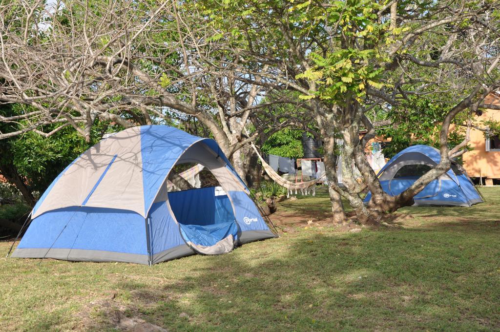 Fish Tobago Guesthouse Buccoo Dış mekan fotoğraf